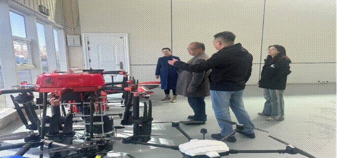 图示, 示意图
中度可信度描述已自动生成:ver1